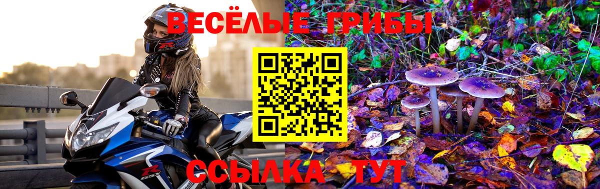 купить наркотик  Вход с VPN  Родники  Галлюциногенные грибы Cubensis 
