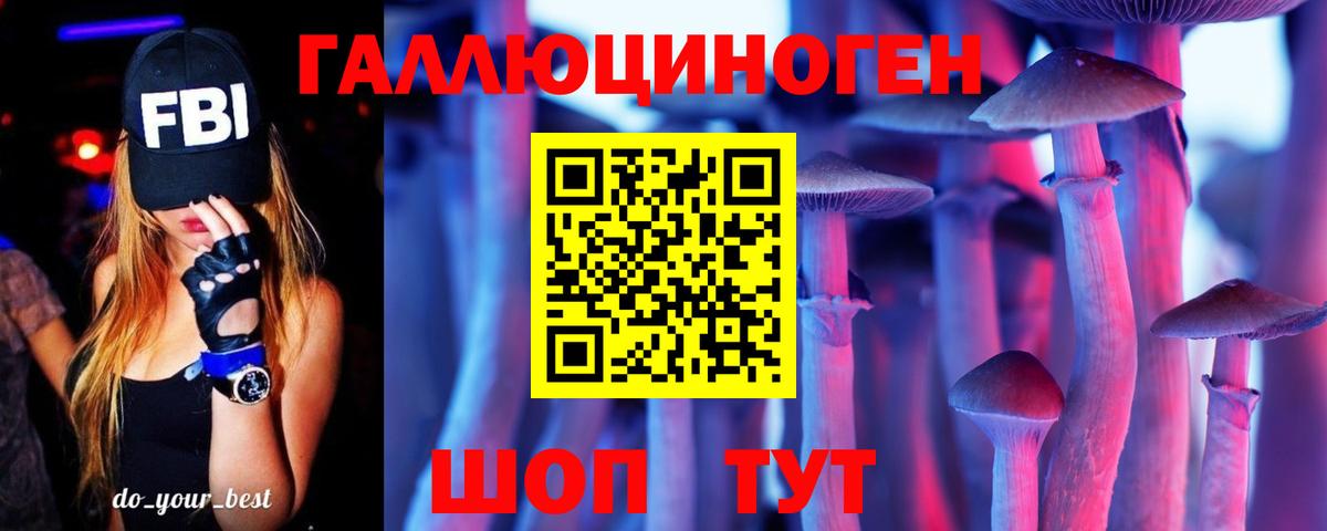 Псилоцибиновые грибы Psilocybe Родники